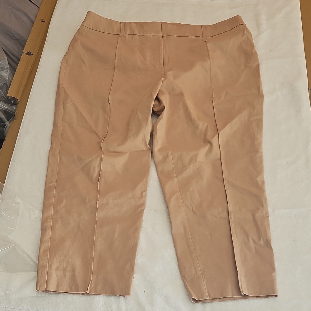 JM Collection Beige Straight Leg Dress Pants Rayon Nylon‎ Spandex Women Plus 18W